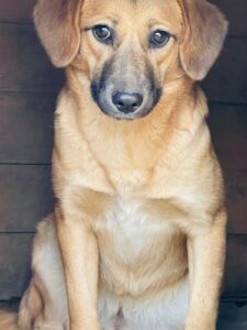 WhatsApp Image 2025-12-01 at 10.19.33 PM (4)