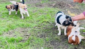 WhatsApp Image 2025-12-01 at 10.19.34 PM (2)