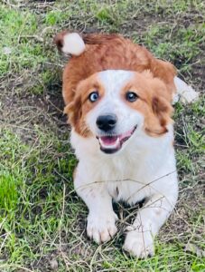 WhatsApp Image 2025-12-01 at 10.19.34 PM (3)