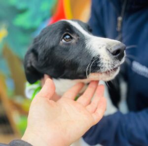 WhatsApp Image 2025-12-01 at 10.19.34 PM