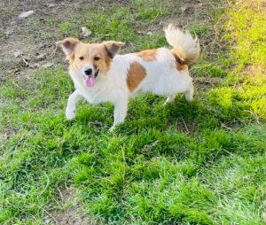 WhatsApp Image 2025-12-01 at 10.19.34 PM (4)