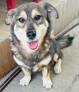 WhatsApp Image 2025-12-01 at 10.19.34 PM (5)