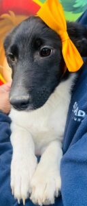 WhatsApp Image 2025-12-01 at 10.19.35 PM