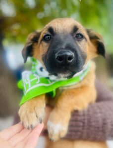 WhatsApp Image 2025-12-01 at 10.19.50 PM (2)