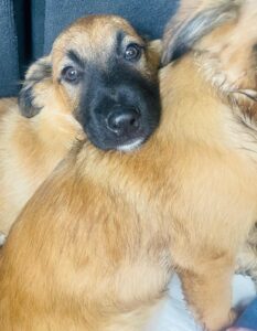 WhatsApp Image 2025-12-01 at 10.19.50 PM