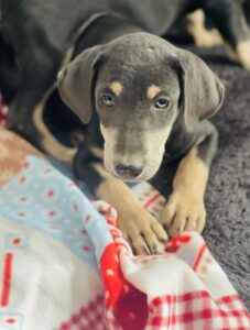 WhatsApp Image 2025-12-01 at 10.20.46 PM