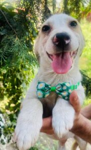 WhatsApp Image 2025-12-01 at 10.20.47 PM (1)