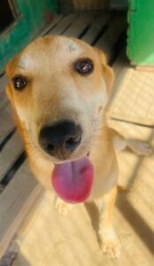 WhatsApp Image 2025-12-01 at 10.20.47 PM (2)