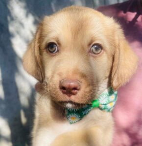 WhatsApp Image 2025-12-01 at 10.20.47 PM