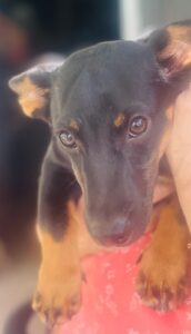 WhatsApp Image 2025-12-01 at 10.20.47 PM (4)