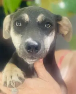 WhatsApp Image 2025-12-01 at 10.20.47 PM (5)