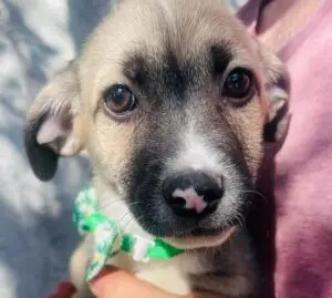 WhatsApp Image 2025-12-01 at 10.20.48 PM (1)