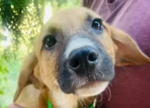 WhatsApp Image 2025-12-01 at 10.20.48 PM