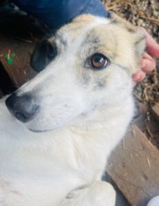 WhatsApp Image 2025-12-01 at 10.21.58 PM (1)