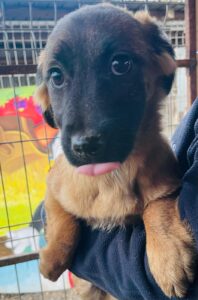 WhatsApp Image 2025-12-01 at 10.21.58 PM