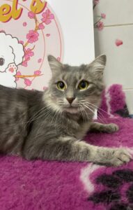 WhatsApp Image 2025-12-01 at 10.25.01 PM