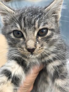 WhatsApp Image 2025-12-01 at 10.26.17 PM (1)