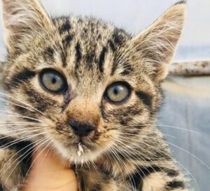 WhatsApp Image 2025-12-01 at 10.26.17 PM (2)