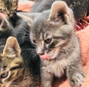 WhatsApp Image 2025-12-01 at 10.26.17 PM (5)