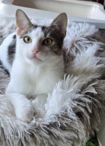 WhatsApp Image 2025-12-01 at 10.26.18 PM (1)