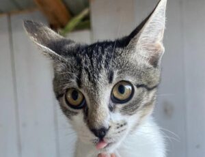 WhatsApp Image 2025-12-01 at 10.26.18 PM (2)