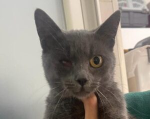 WhatsApp Image 2025-12-01 at 10.26.18 PM