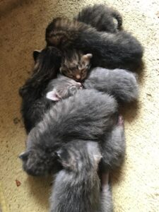 WhatsApp Image 2025-12-01 at 10.26.18 PM (5)