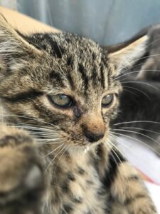 WhatsApp Image 2025-12-01 at 10.26.18 PM (6)