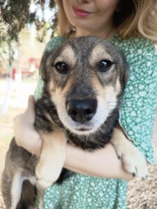 WhatsApp Image 2025-12-01 at 10.37.13 PM