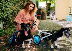 WhatsApp Image 2025-12-01 at 10.43.59 PM (1)